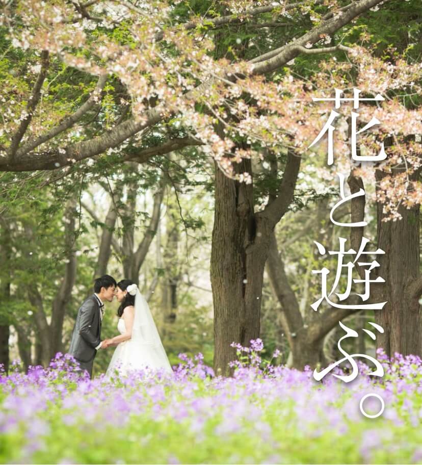 昭和記念公園の花畑で前撮りプラン フォトウェディング 結婚式の前撮りキャンペーン