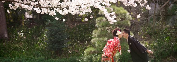 東北エリアの桜 さくら のロケーションフォト フォトウェディング 結婚式の前撮り 撮影プラン