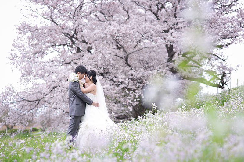 【東京編】春に結婚式の前撮りをするならココ！　桜の名スポット4選