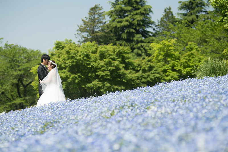 春の花畑でフォトウェディングを楽しむためのアイデア3つ フォトウェディング 結婚式の前撮り Howtoコラム